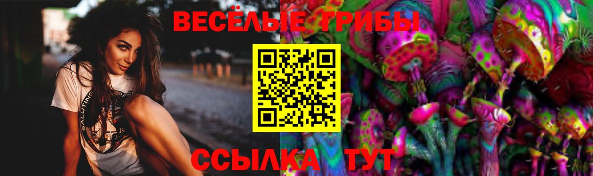 Галлюциногенные грибы MAGIC MUSHROOMS  Вход с VPN  Черняховск 